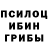 Галлюциногенные грибы GOLDEN TEACHER Gloer Scroll