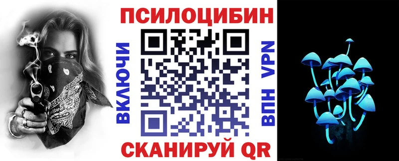 как найти   Жигулёвск  Галлюциногенные грибы MAGIC MUSHROOMS 